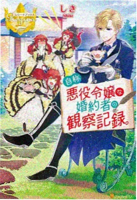 玫瑰的故事 都市爱情剧免费看